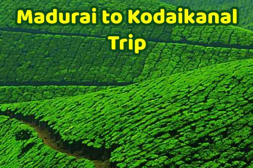 Madurai to Kodaikanal