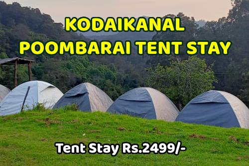Kodaikanal Poombarai Tent Stay