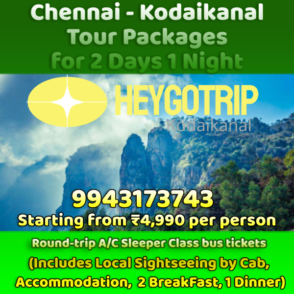 Chennai to Kodaikanal 2 Days Package