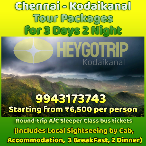 Chennai to Kodaikanal Trip for 3 Days