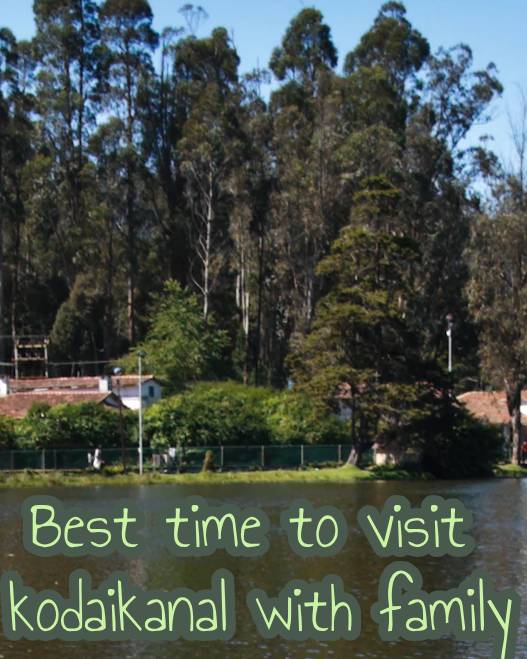 Which Month is Best for Kodaikanal?